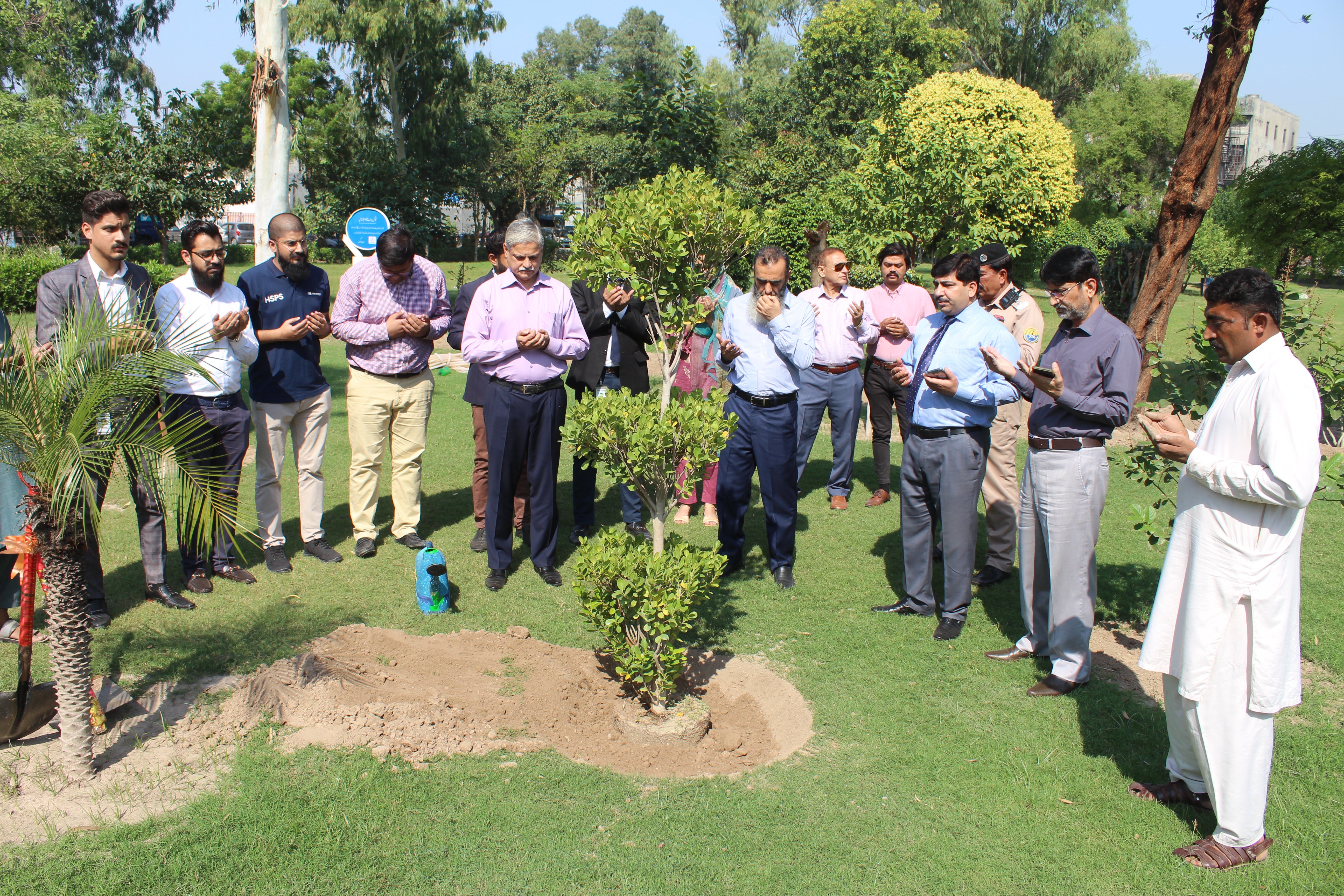 Tree Plantation Drive In Collaboration With Hyundai